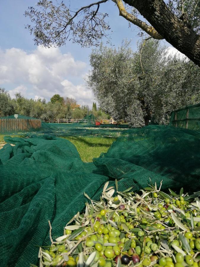 Il Podere Di Sole Roccastrada Exterior foto